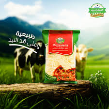 	موتزريلا الشرقية بيور 500 جم 