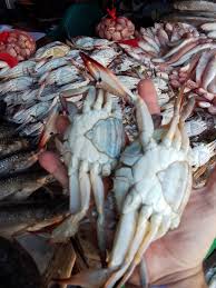 كابوريا جامبو كرتونة 4ك